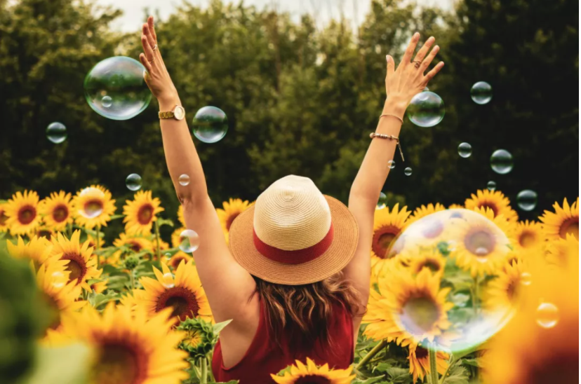 1631945764788557.png image.png