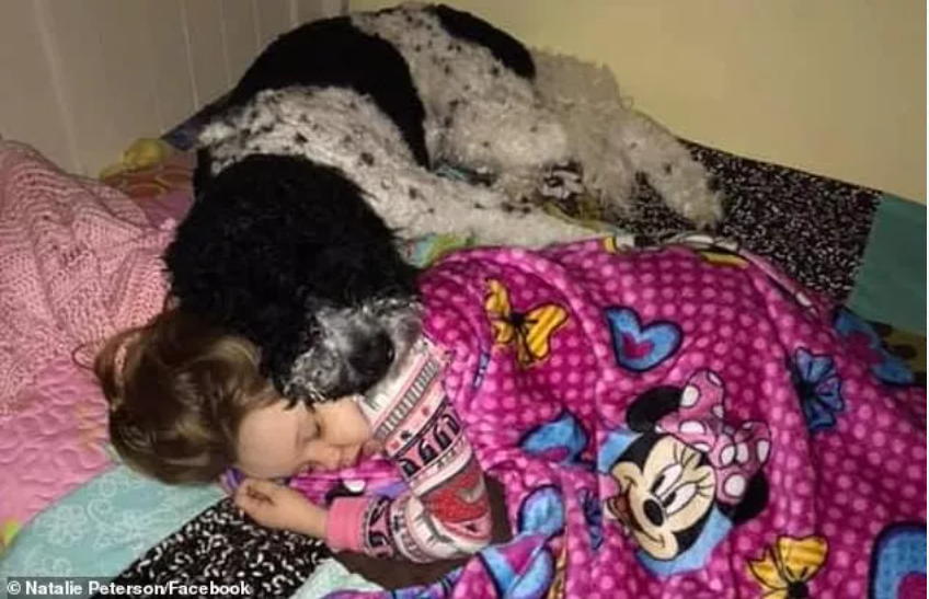 1631950824118767.png image.png