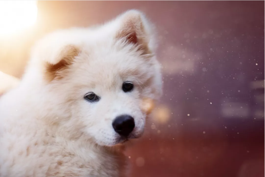 1631951166233232.png image.png